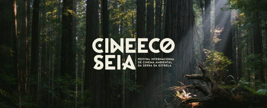 Cineco2