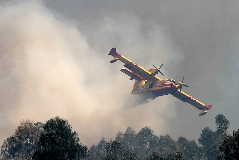 Dois Canadair