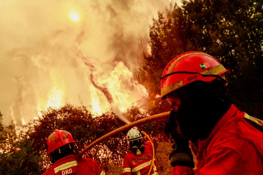 Fogos 3