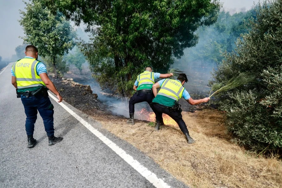 Gnr Incendiarios Detidos