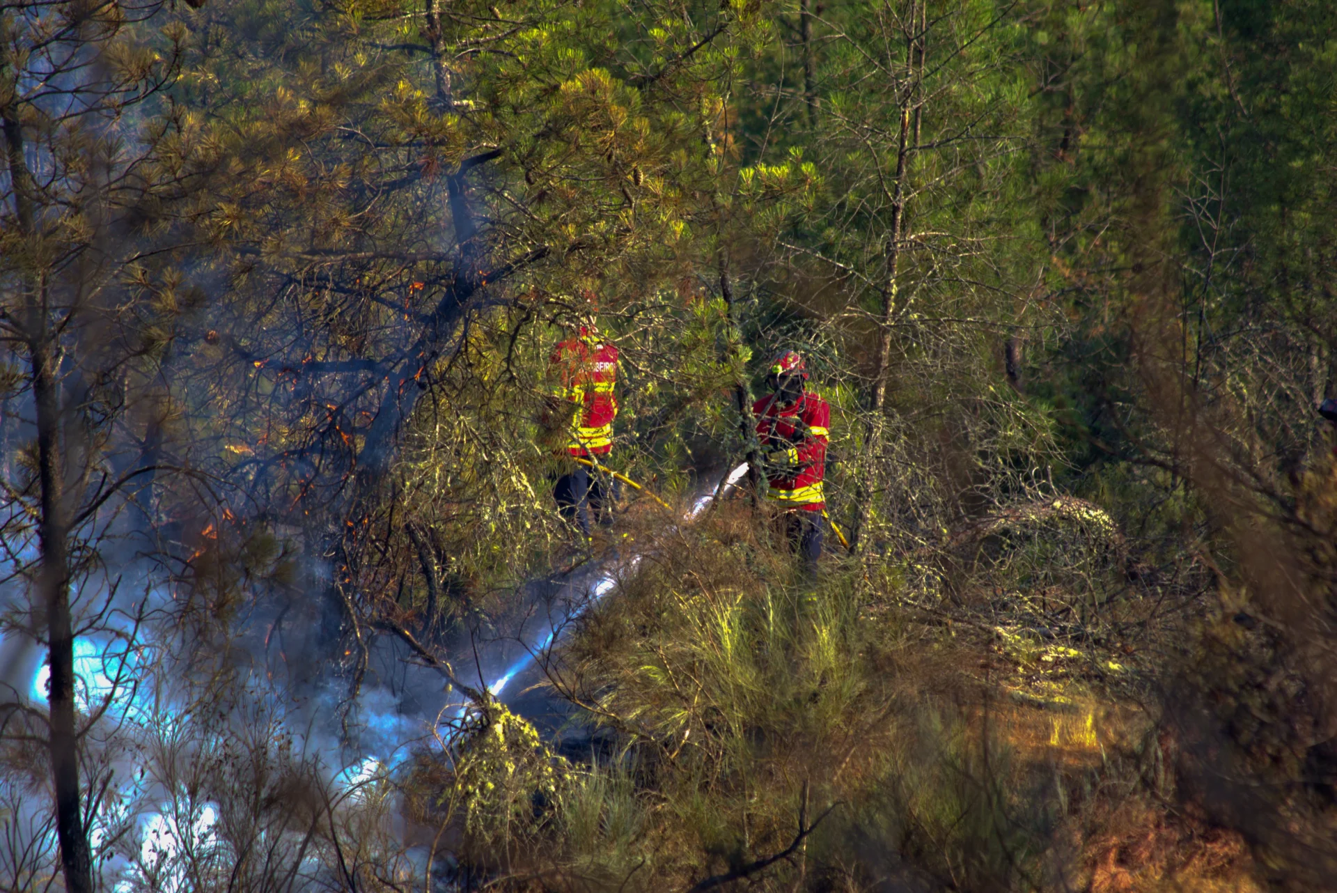 Incendio Combate Bombeiros