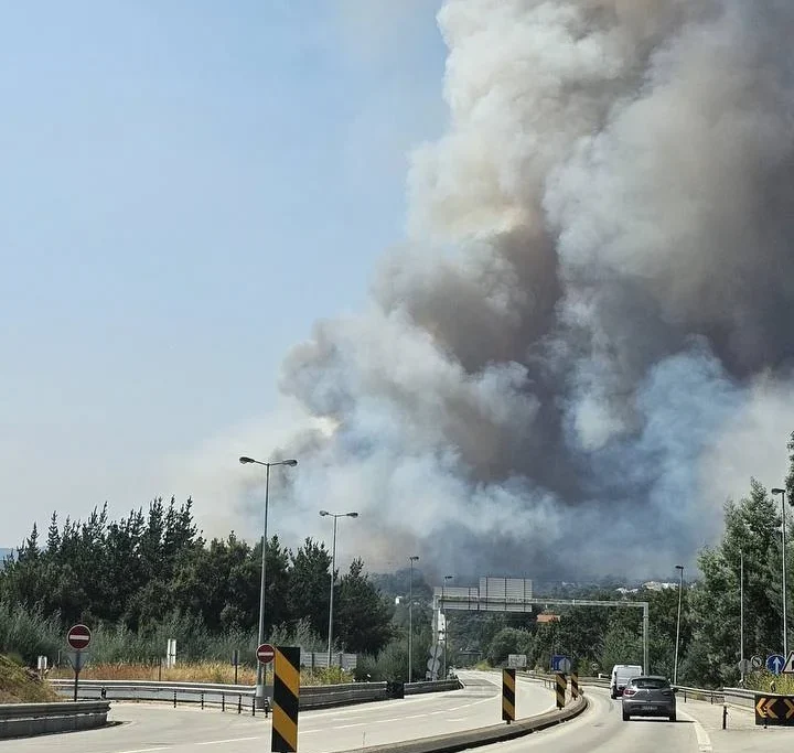 Incêndio Pedrogão Grande