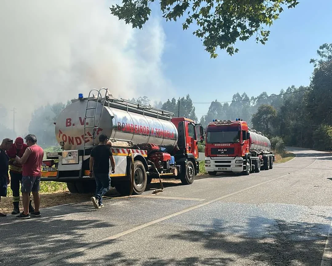 Incendio Sabugosa