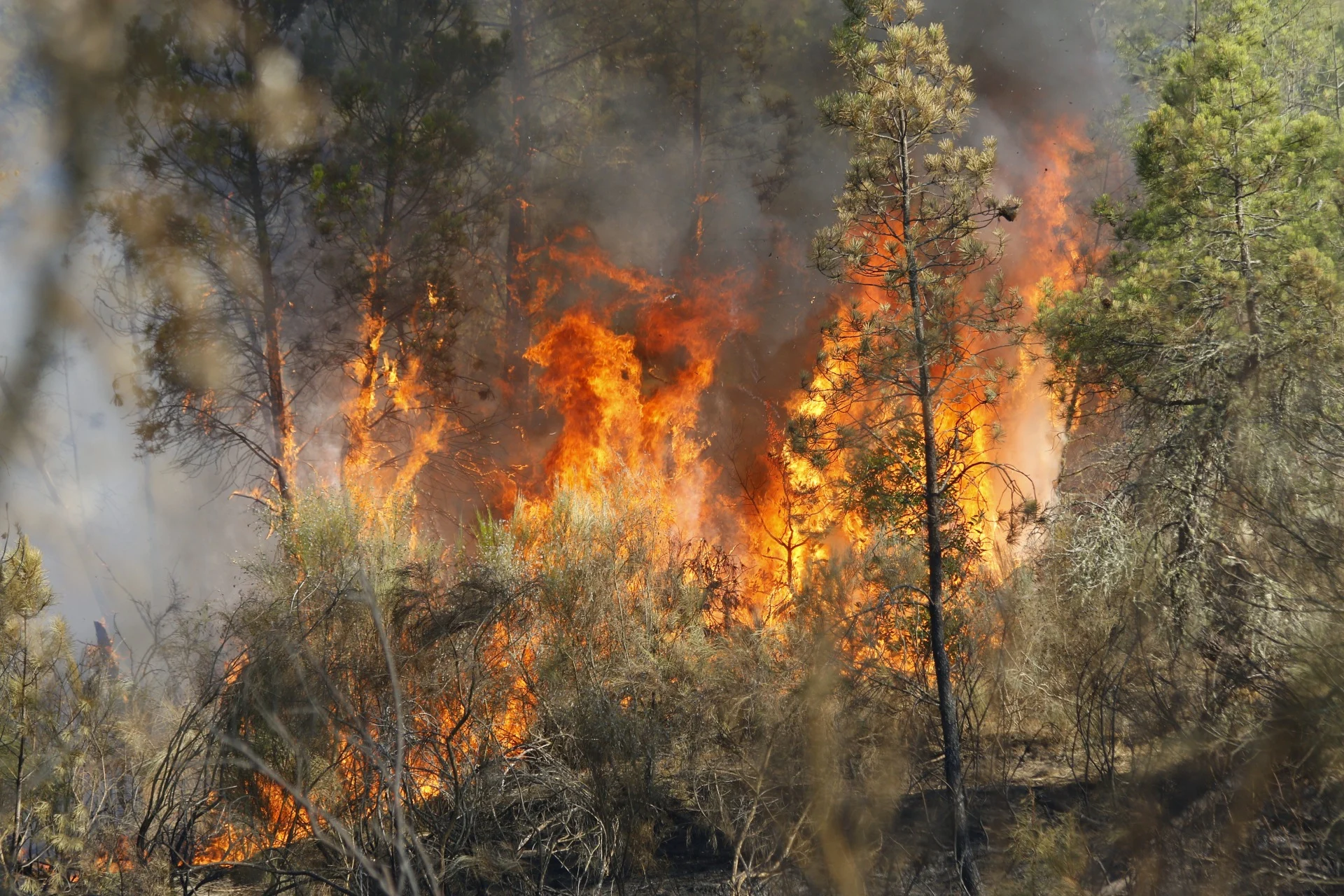 Incendio Sátão 12