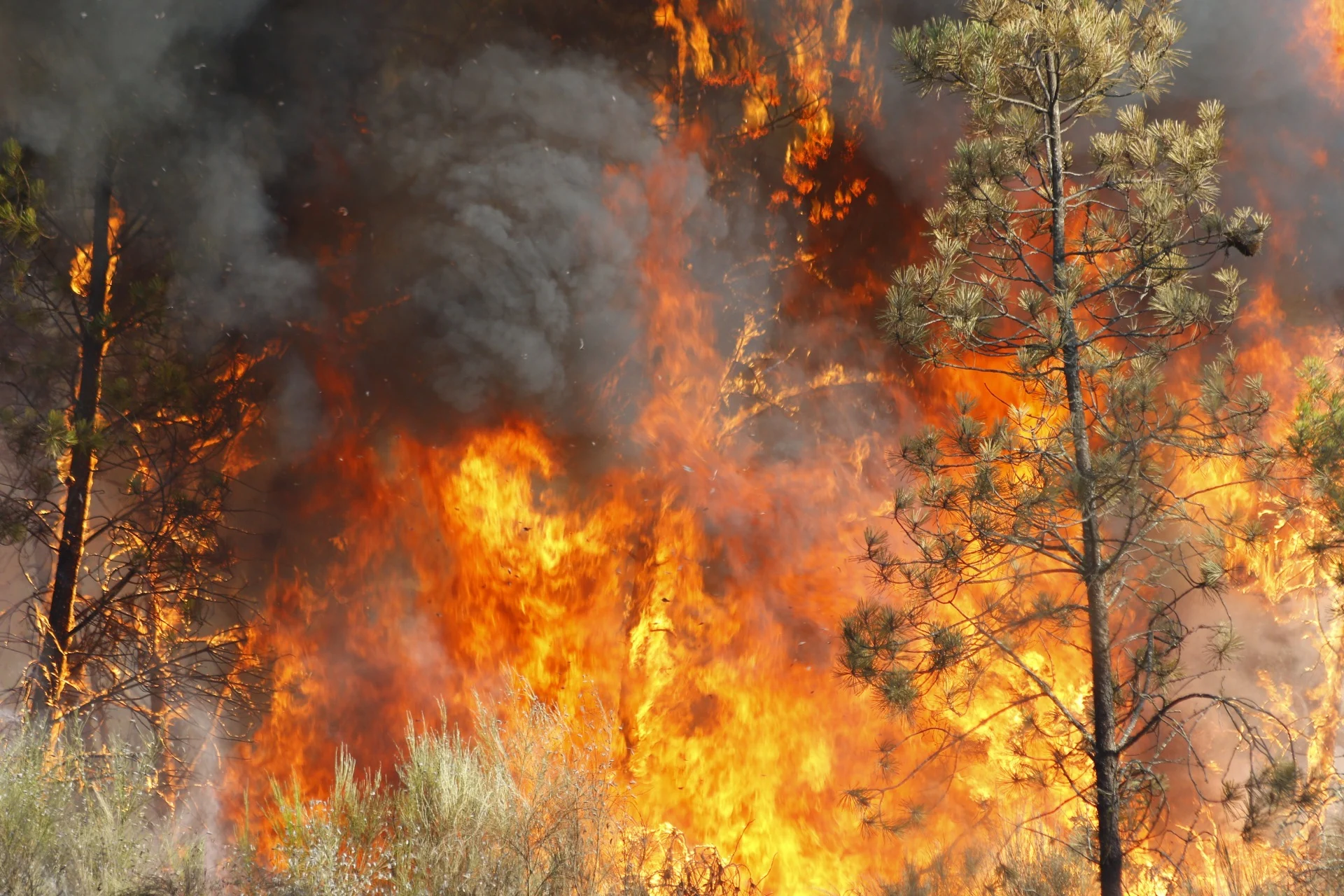 Incendio Sátão 13
