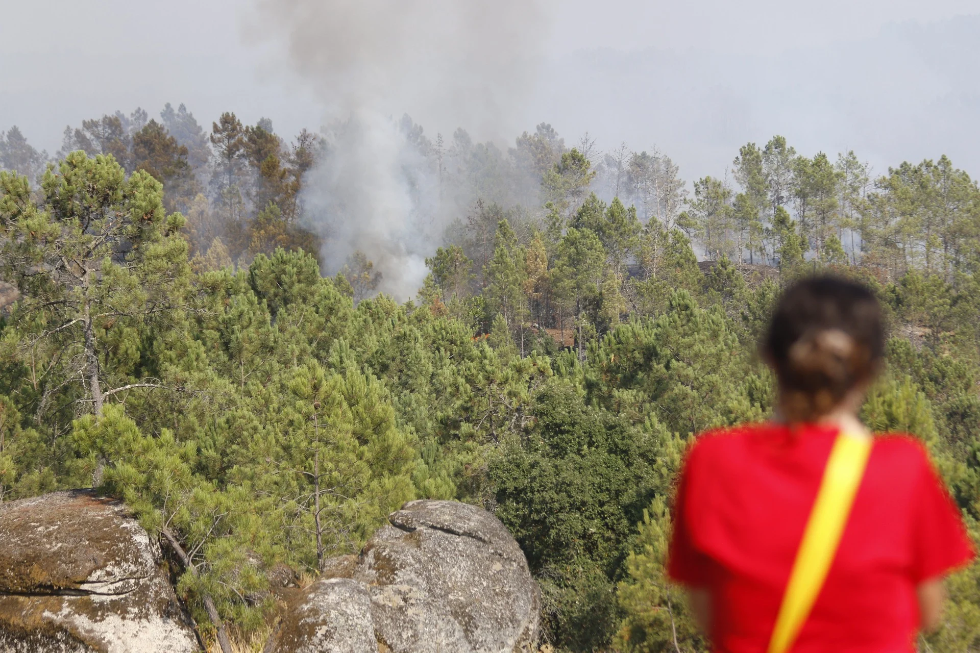Incendio Sátão 8