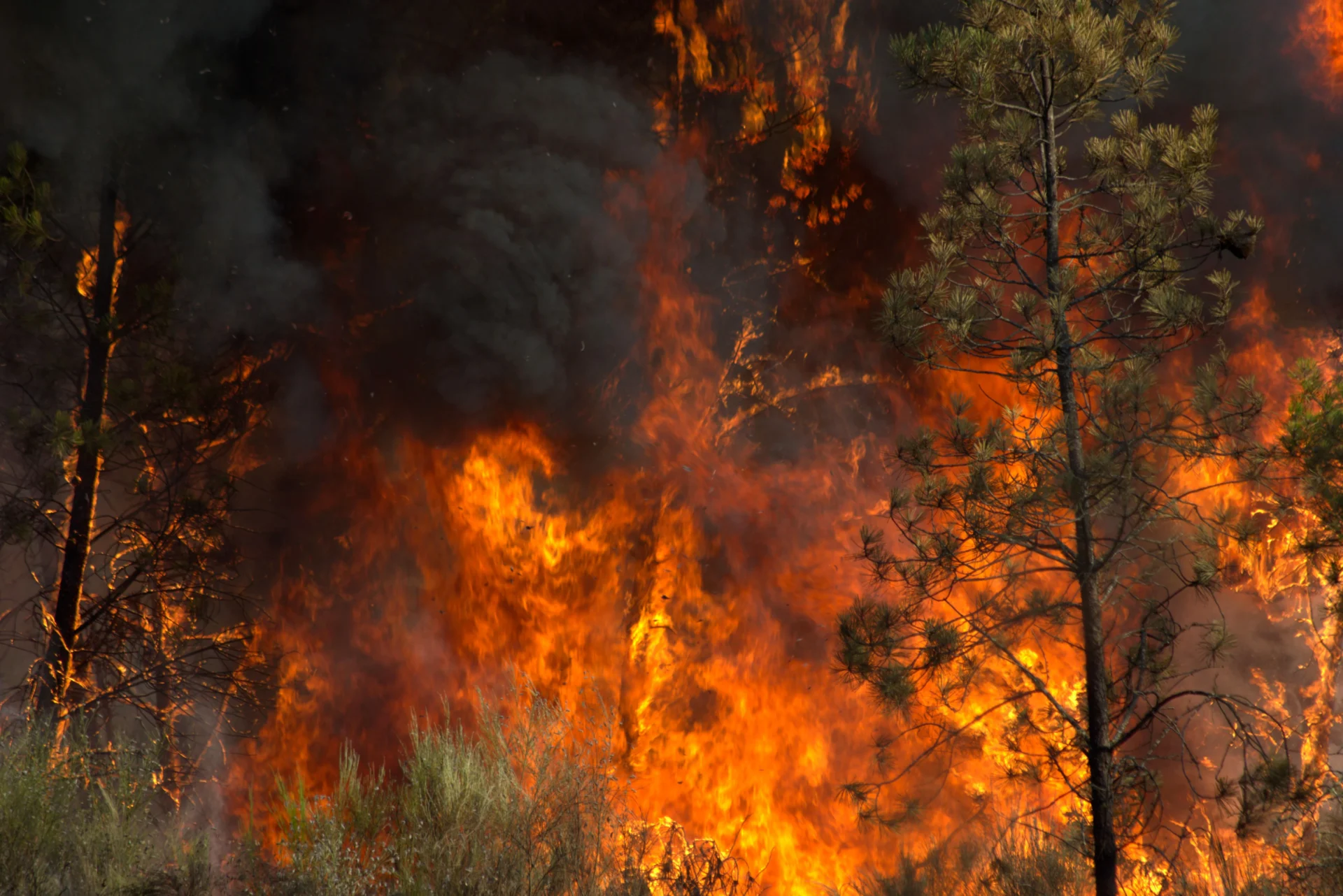 Incendio