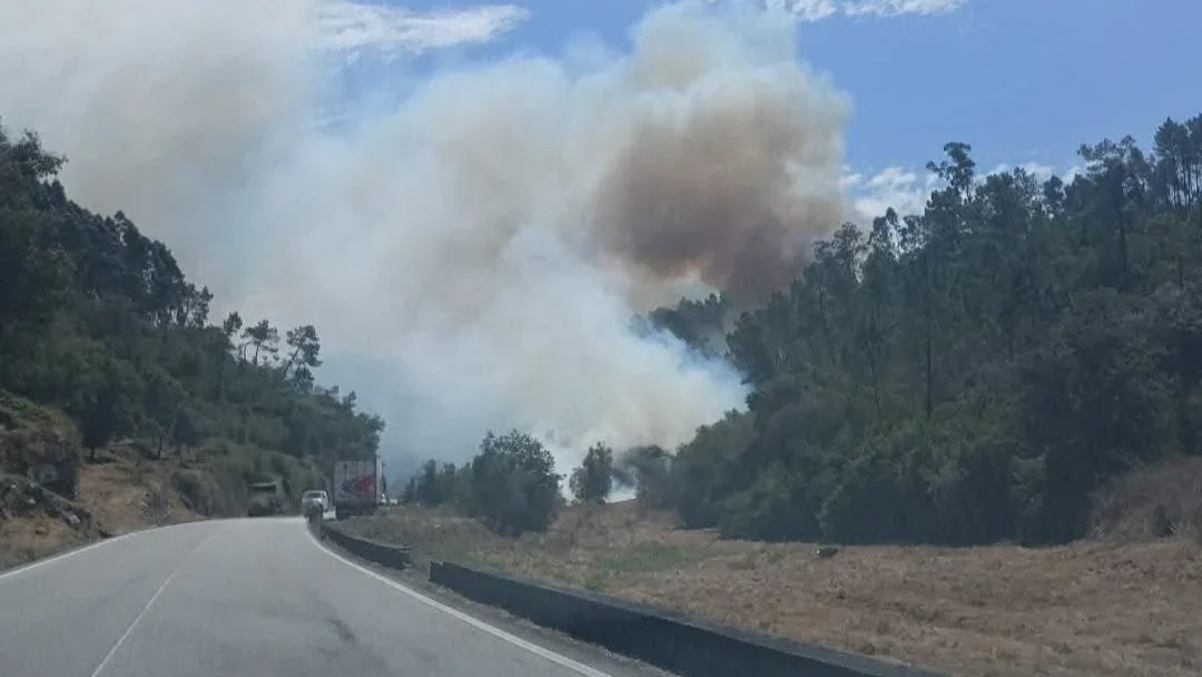 Incendio Vale Sumo