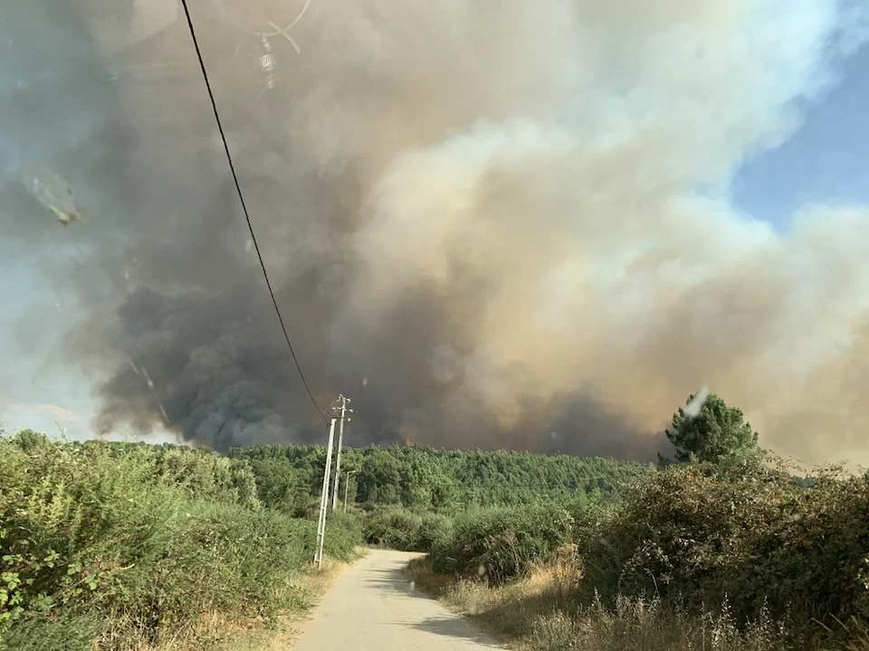 Incendio Vila Real Marta Casanova