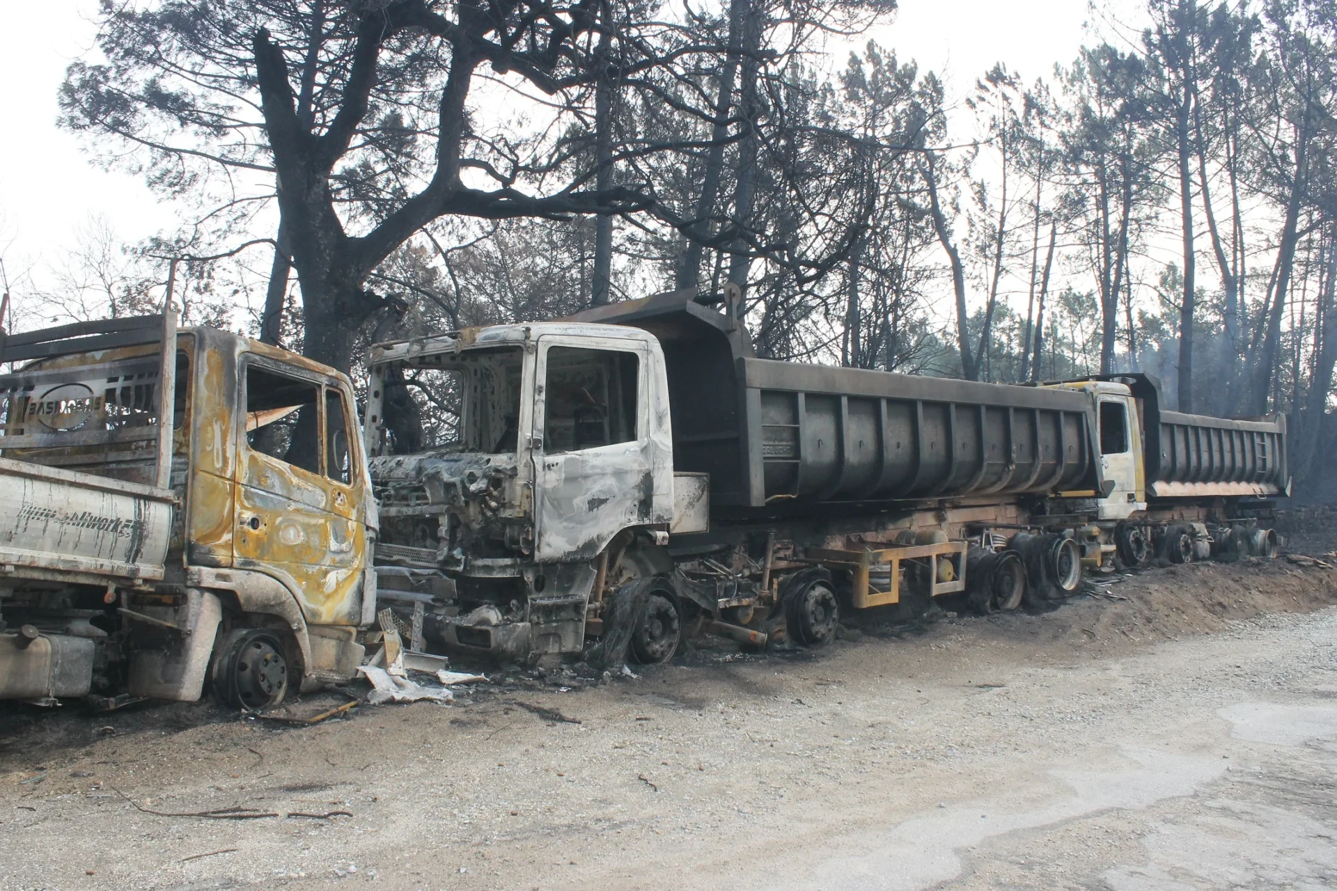 Incendios 2017
