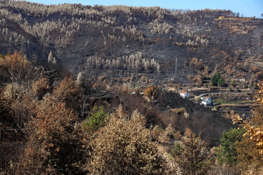 Incêndios Centro Do País