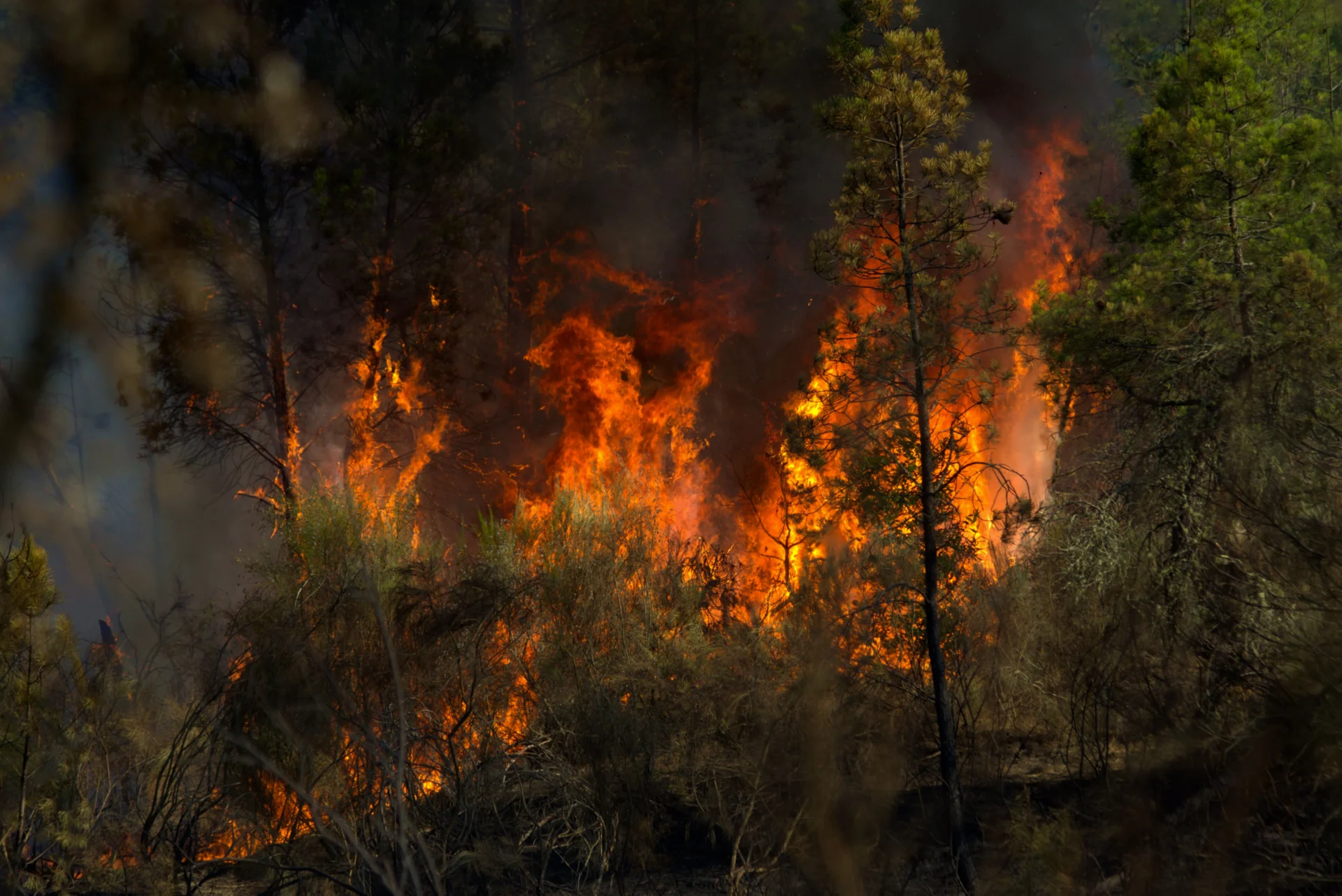 Incendios