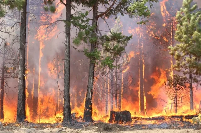 Incêndios