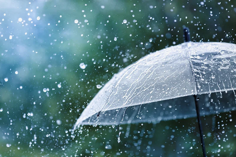 Rain 20210802140558