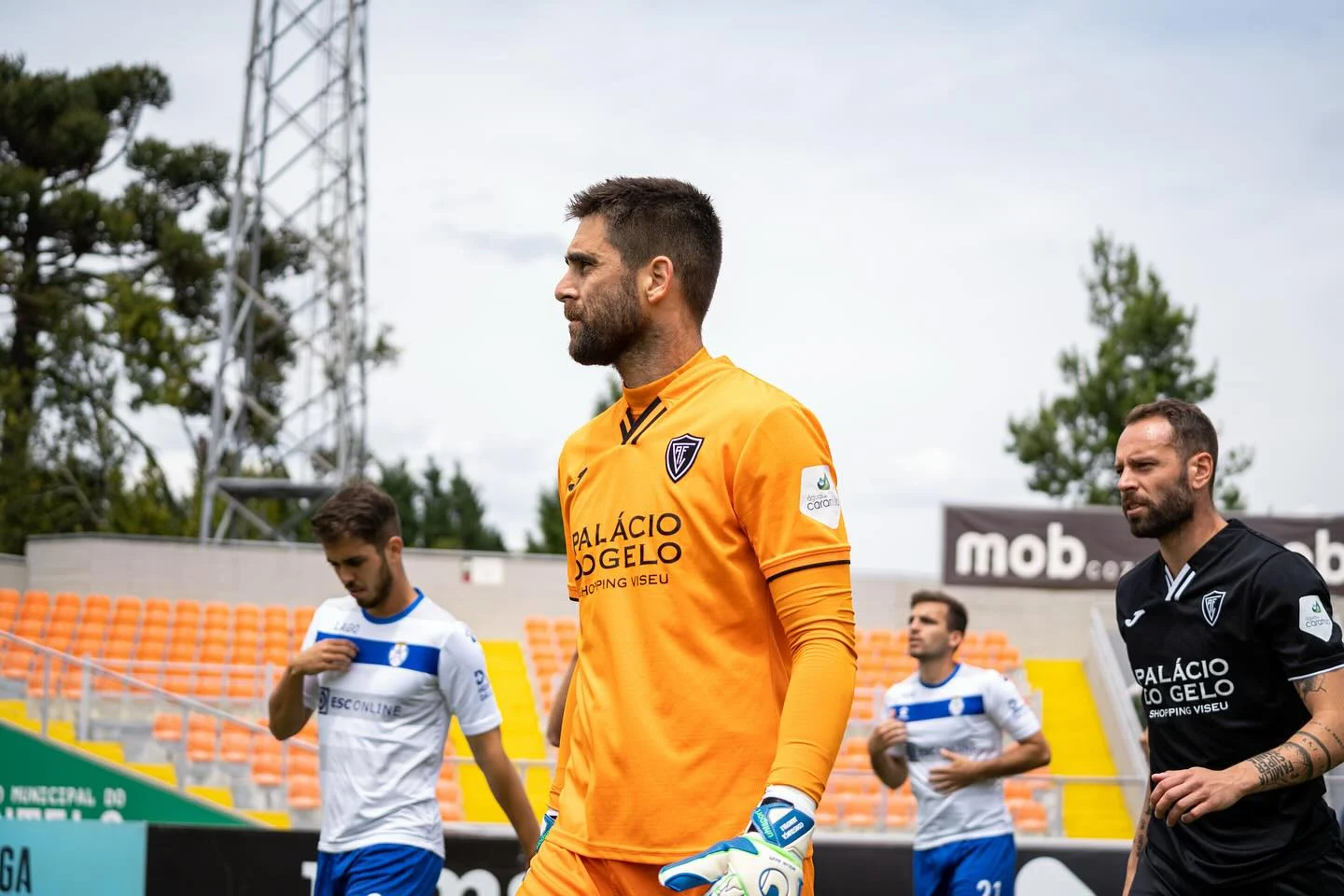 Ricardo Janota