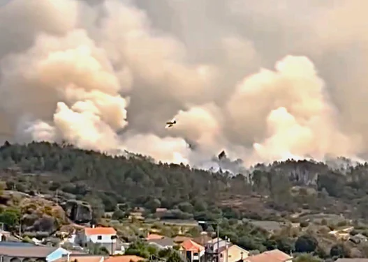 Ruben Emanuel Incendio Ferreira De Aves