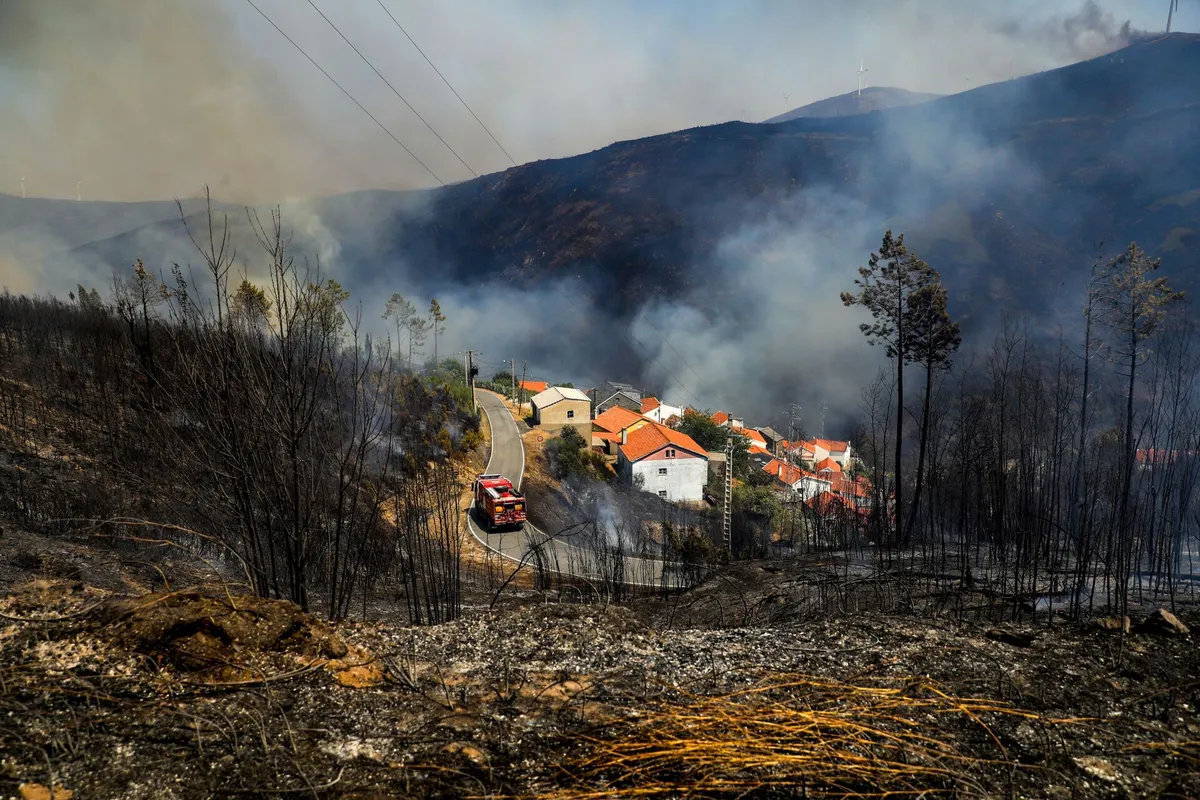 Seia Incendios