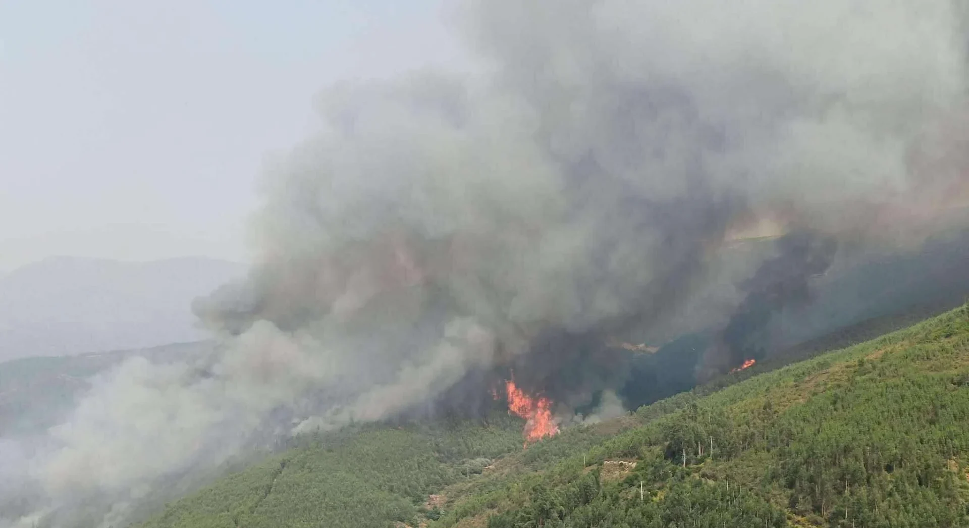 Serra Da Estrela Incendio