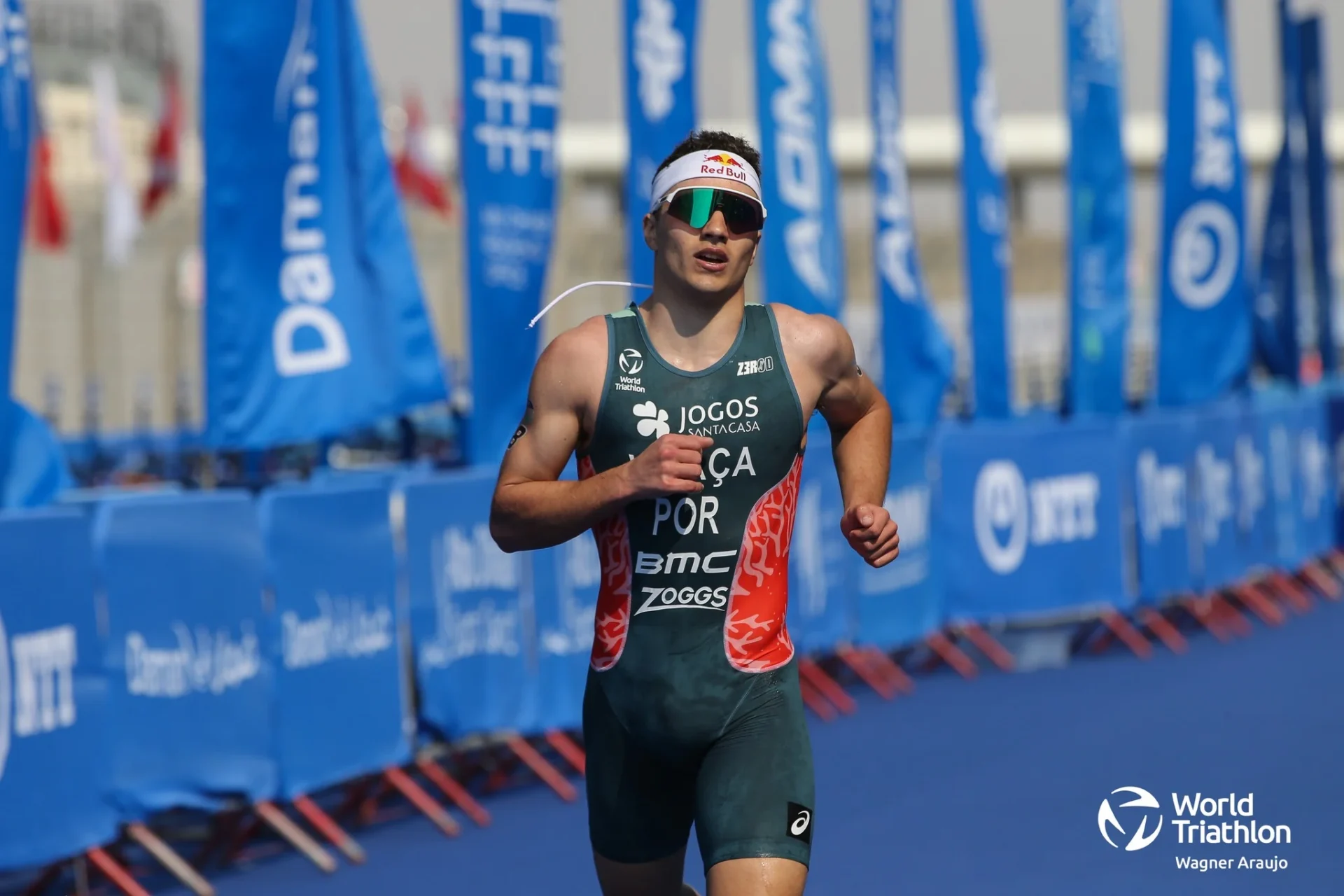 Vascovilaca Chegadameta1