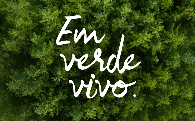 Verde Vivo Campanha