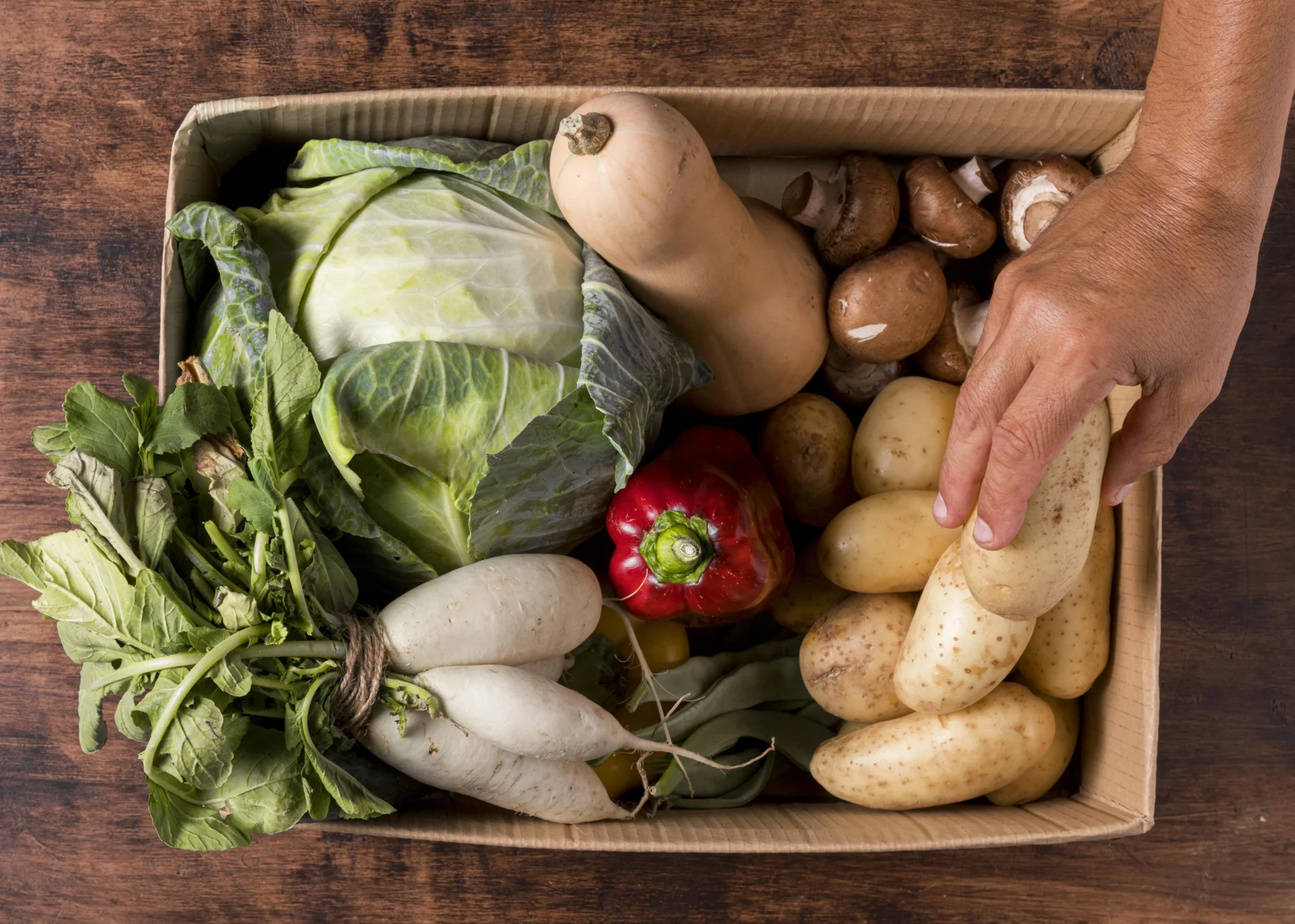 Alimentos Cabaz