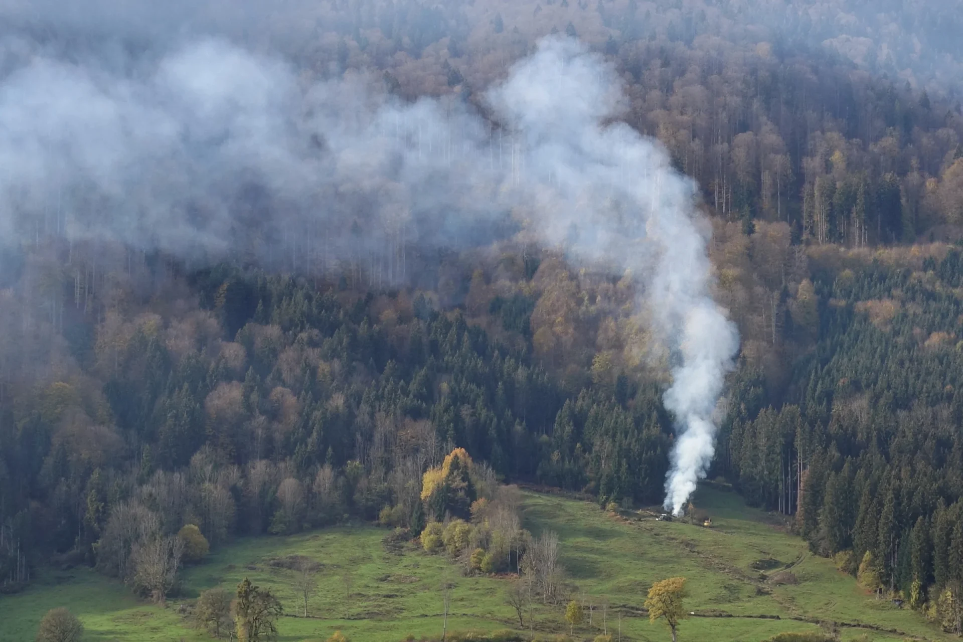 Fogos Florestais