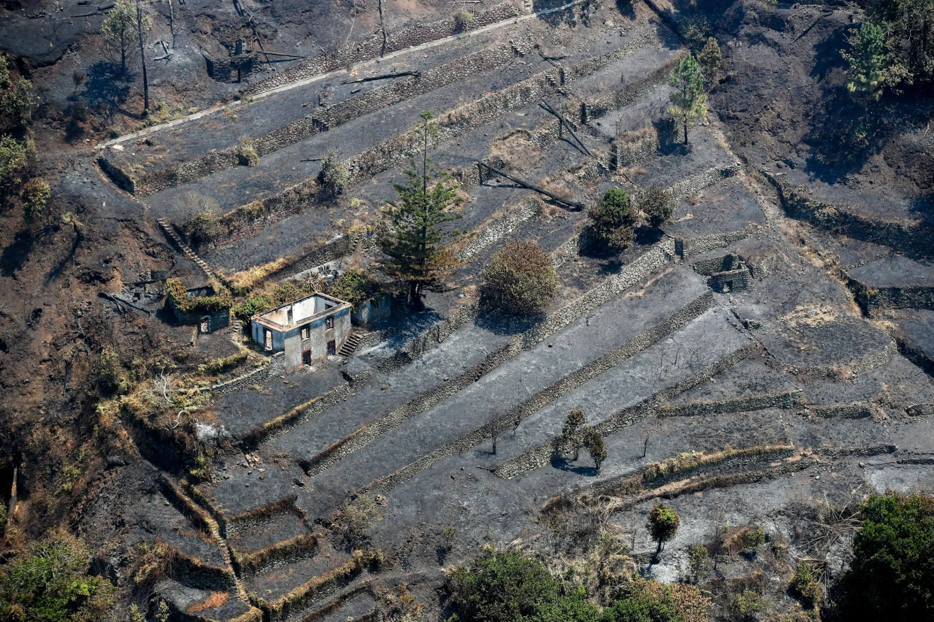 Inc Madeira 2024