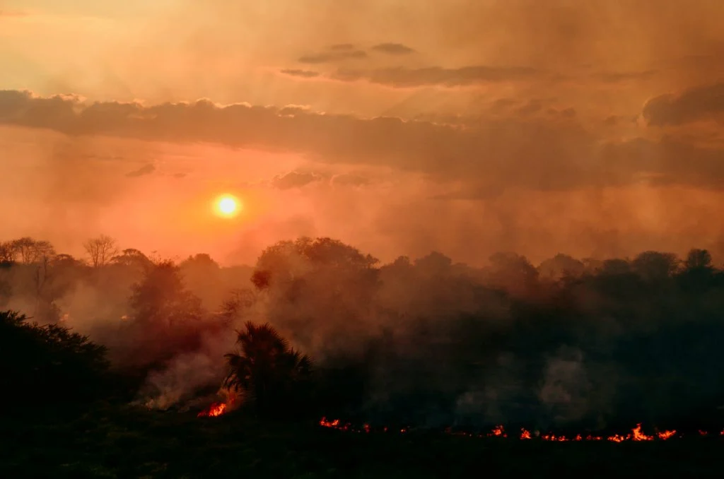 Incendio Ceu