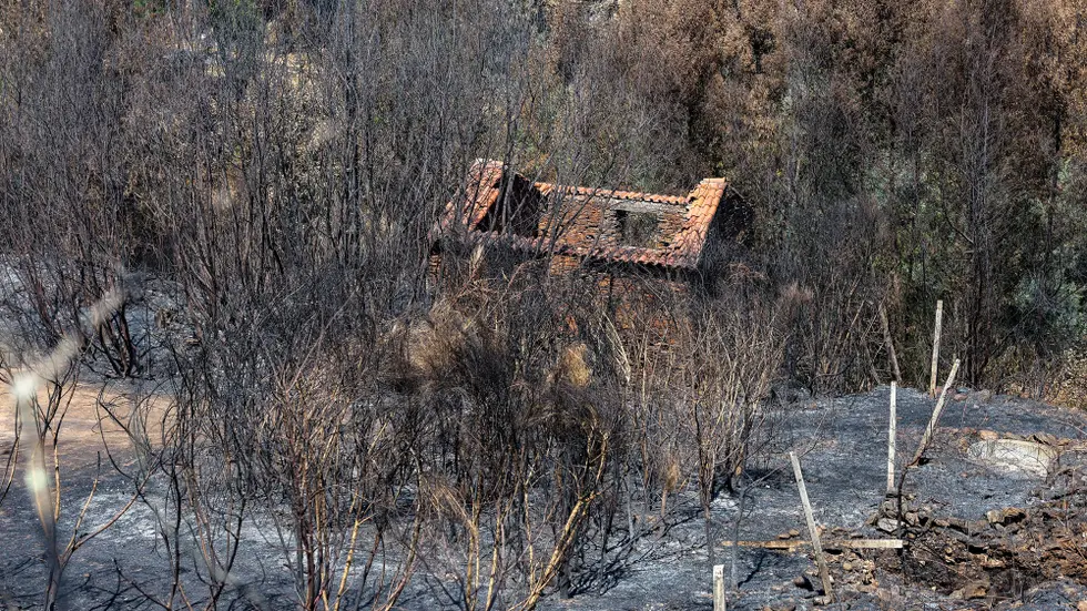 Incendios Florestais