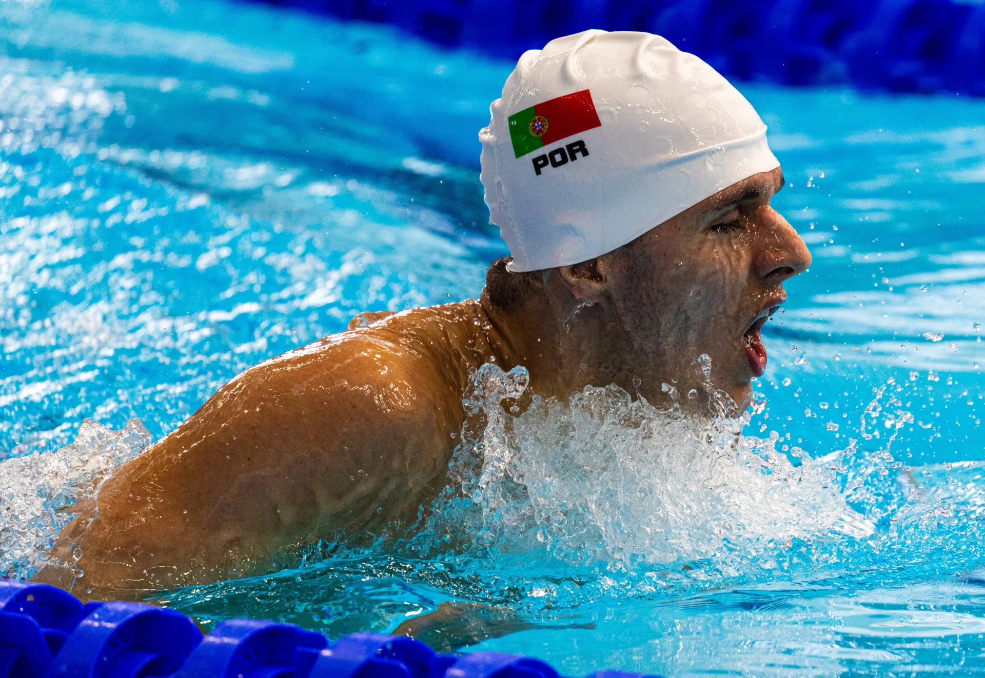 Marco Meneses1