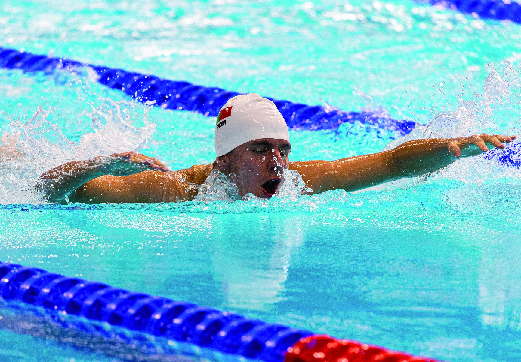 Marco Meneses Tratada