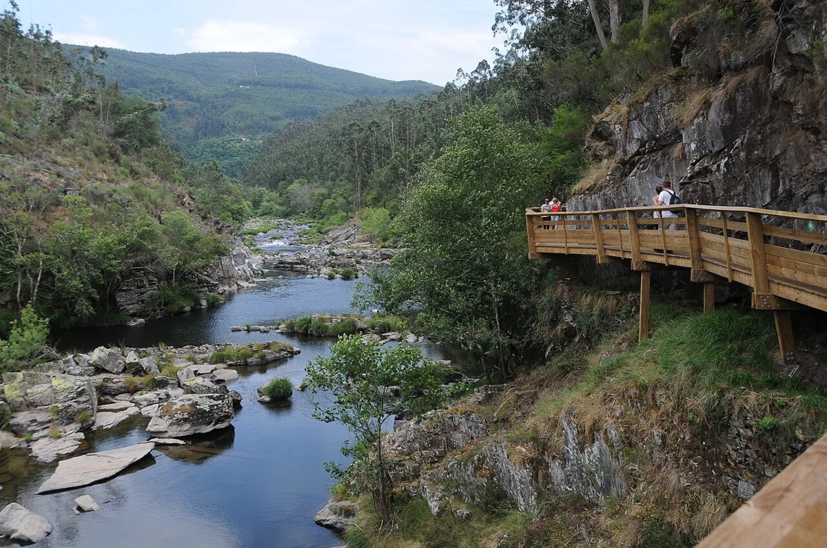 Paiva Arouca