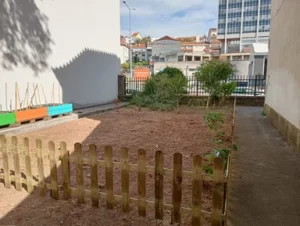 Recreio Escola Avenida Resize