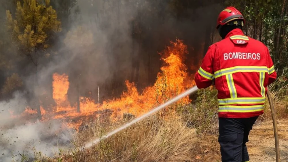 Riscoincendio117