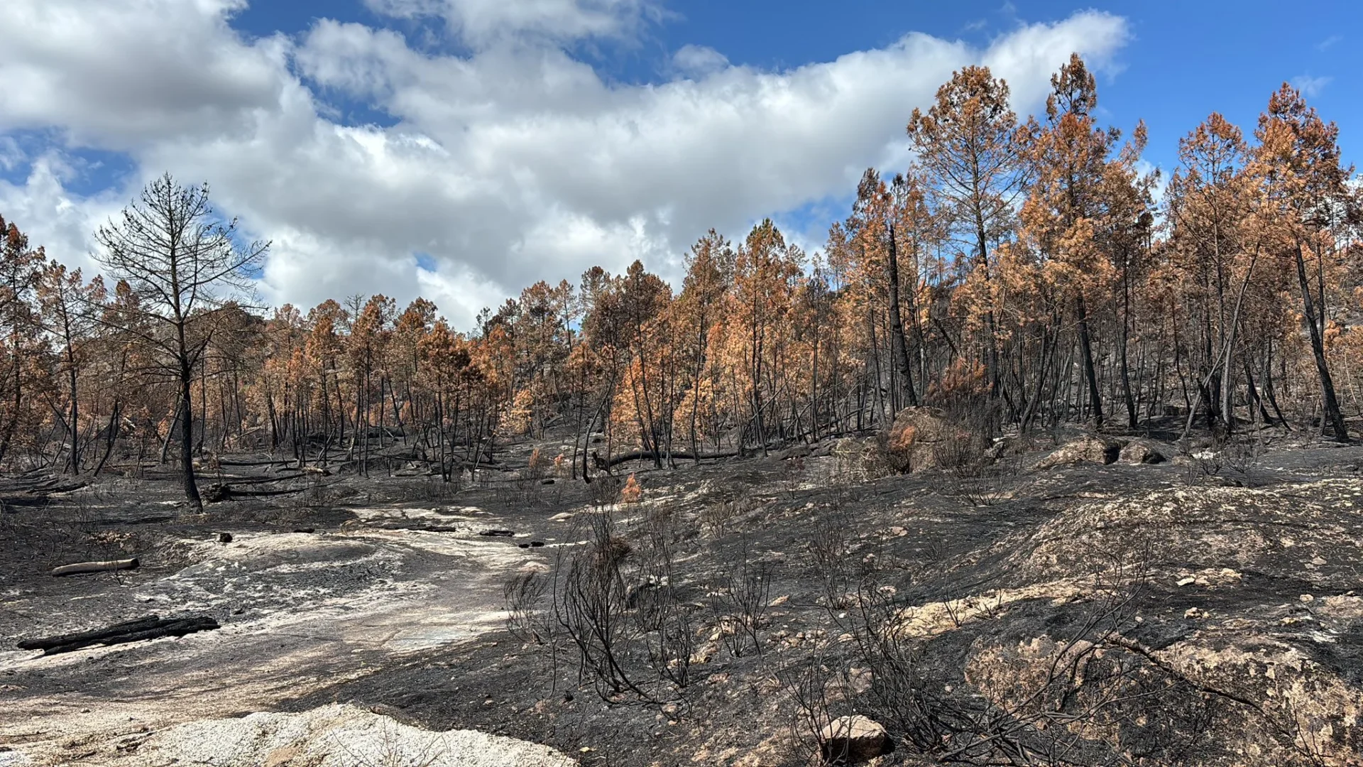 Sátão incêndio
