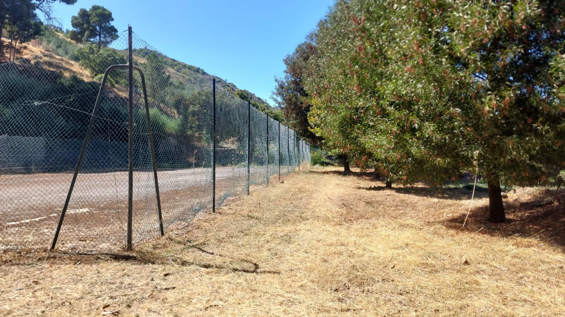 Tabuaço Pista De Atlestimo