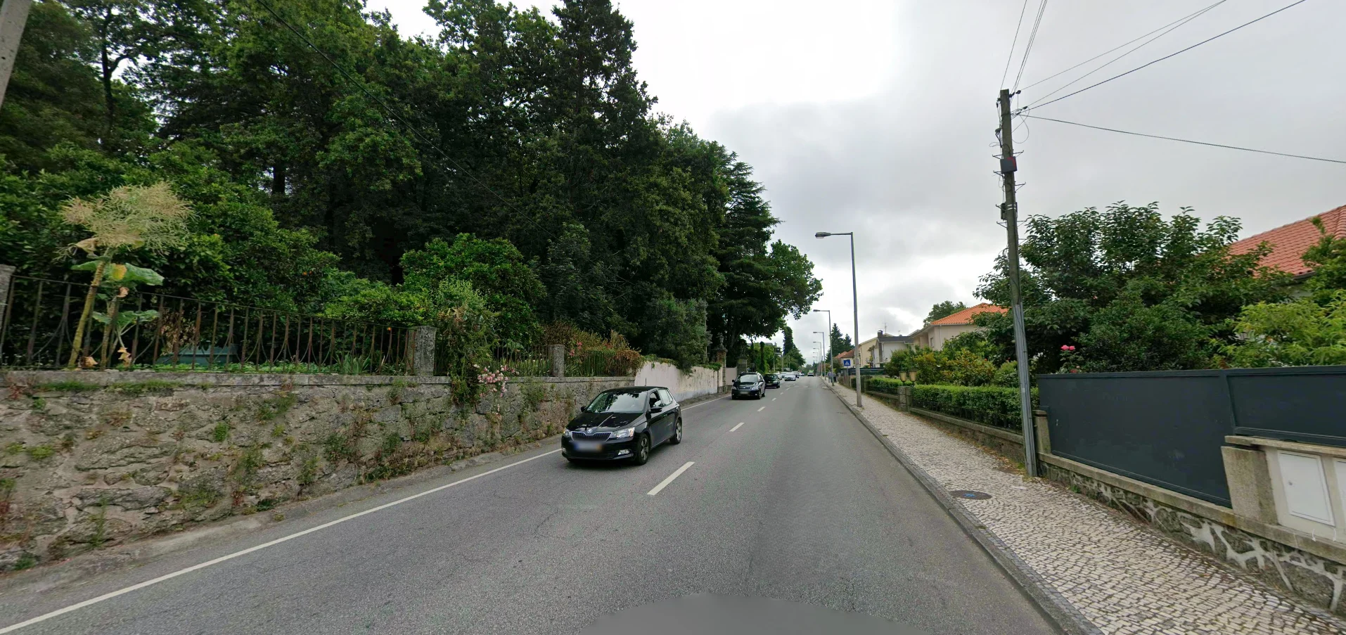Atropelamento Viseu