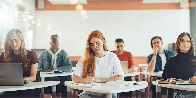 Bolsas De Estudo Mangualde
