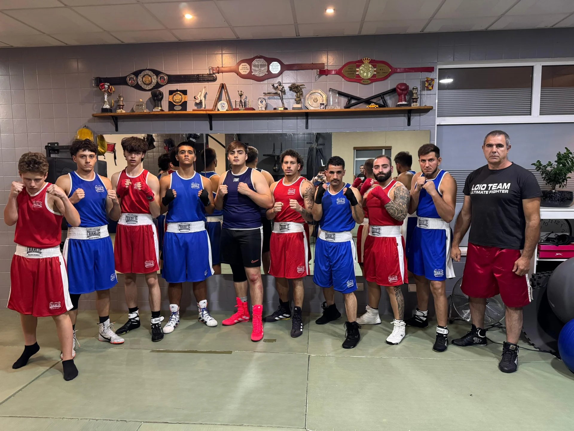 Boxe Loio