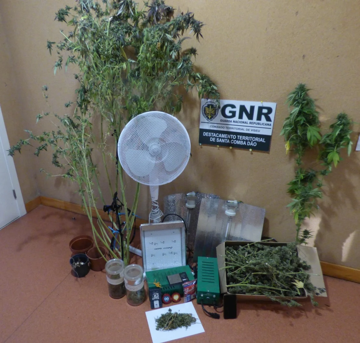 GNR Tondela