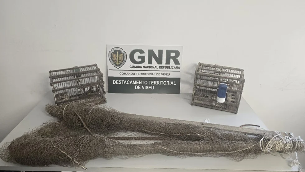 Gnr Viseu Apreensão