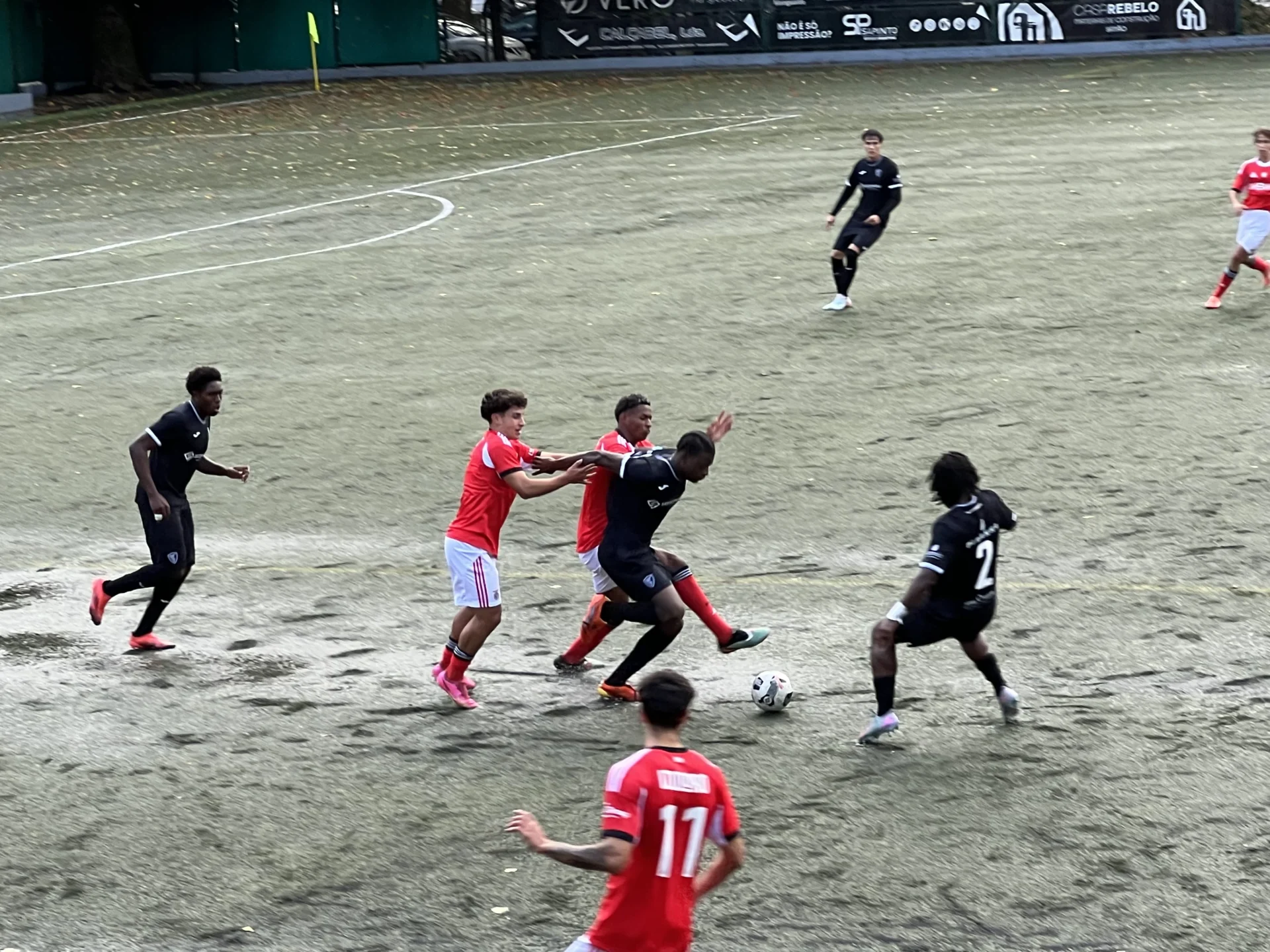 Académico De Viseu Benfica Foto Silno Cardoso