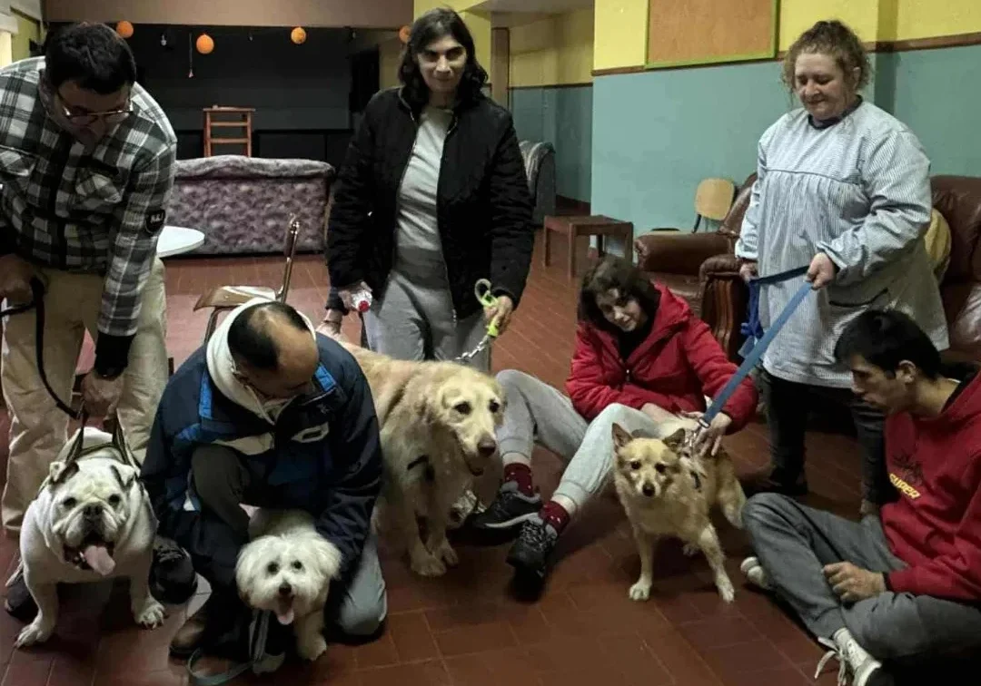 Appacdm Cãezinhos
