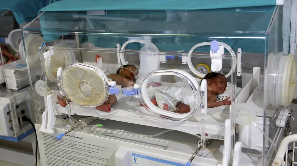 Bebés Em Encubadora Lusa