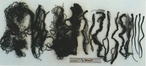 Cabelo Peruca