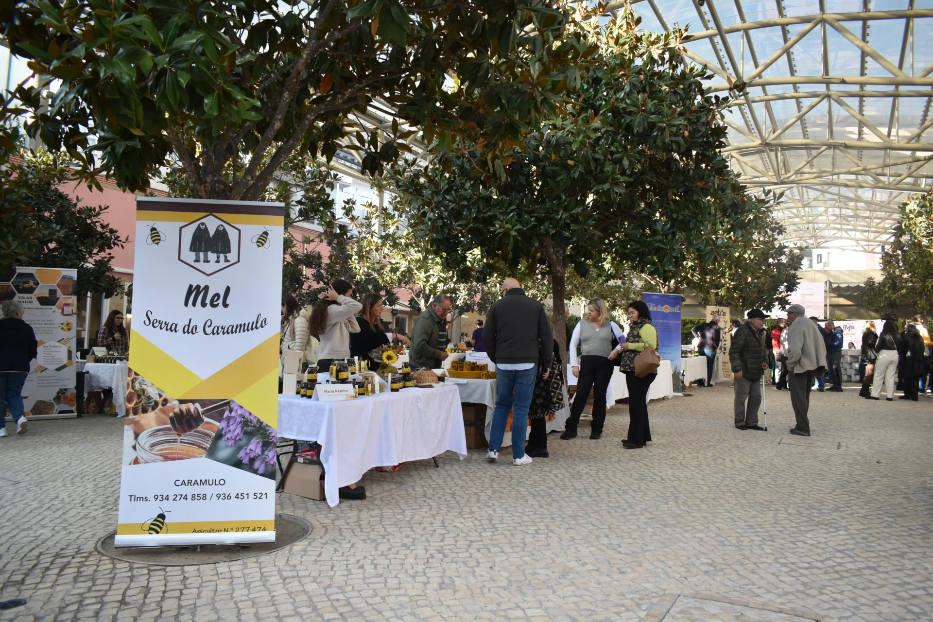 Feira Do Mel Viseu 11