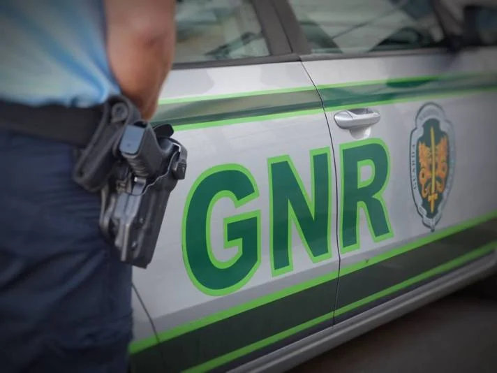 Gnr 333