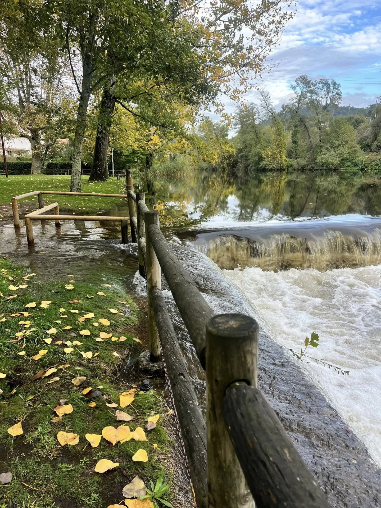 Lenteiro Do Rio Parque Da Cidade São Pedro Do Sul
