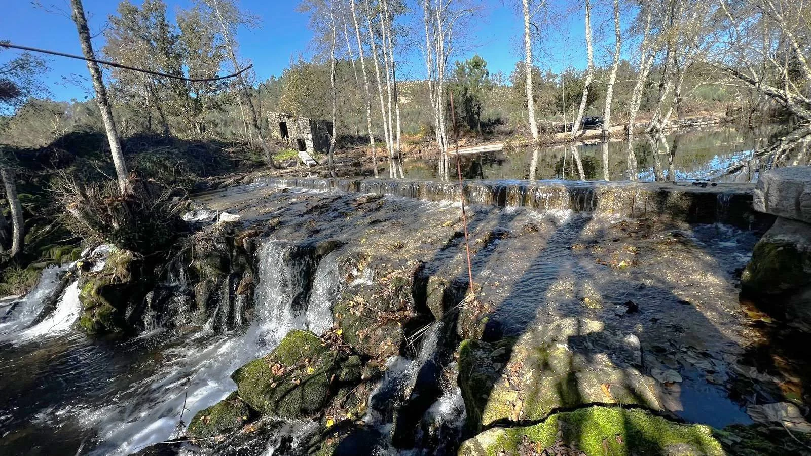 Penalva rio dão
