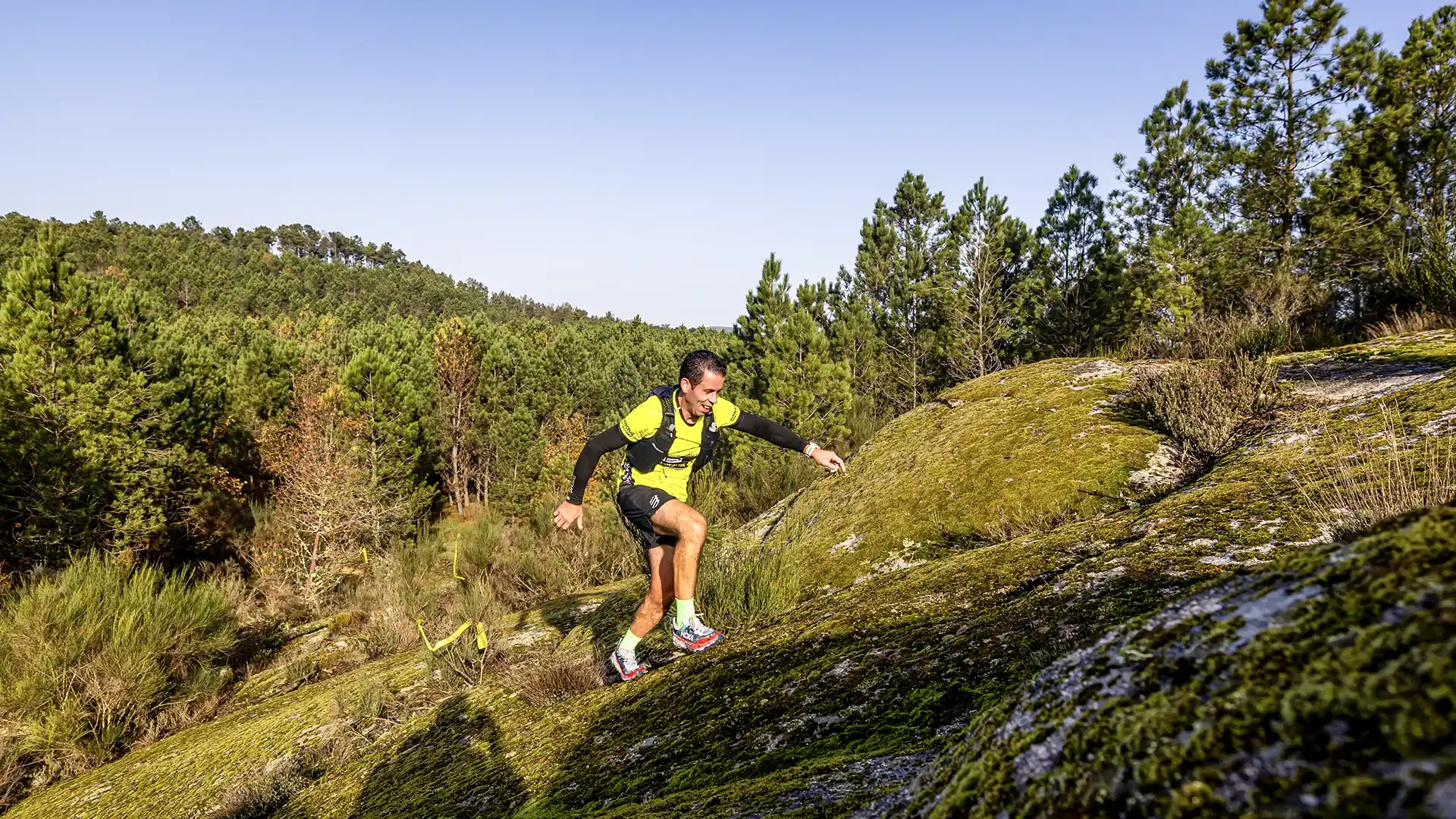 Trail Miscaro